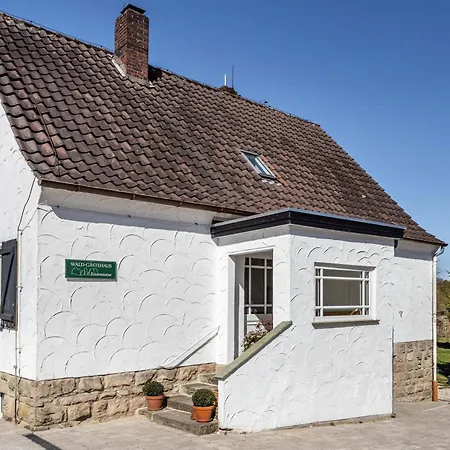 Waldgaestehaus Externsteine *