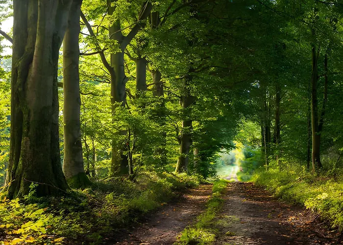 Feriehus Waldgaestehaus Externsteine